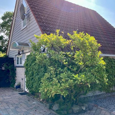 Gudrun 5 Pers Equipped House With Sauna. Dogs Are Welcome! Anjum エクステリア 写真